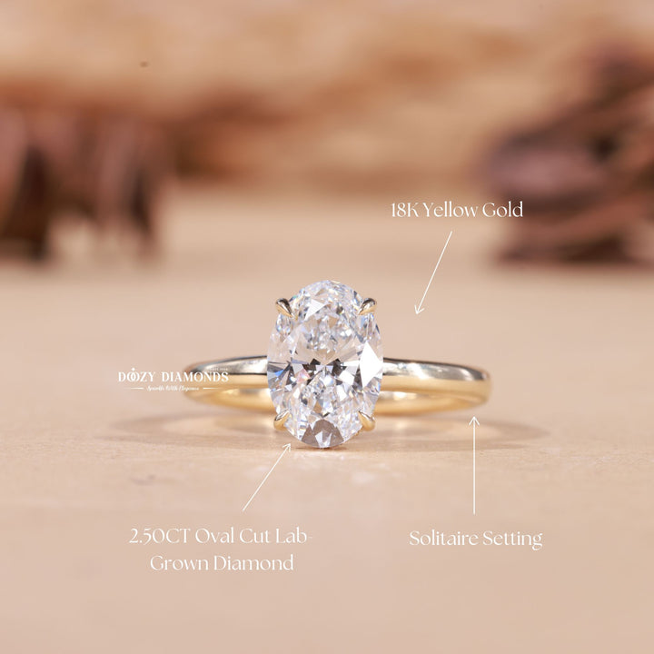 2.0CT-3.0CT Oval F/VS1 Lab Grown Diamond Hidden Halo Engagement Ring