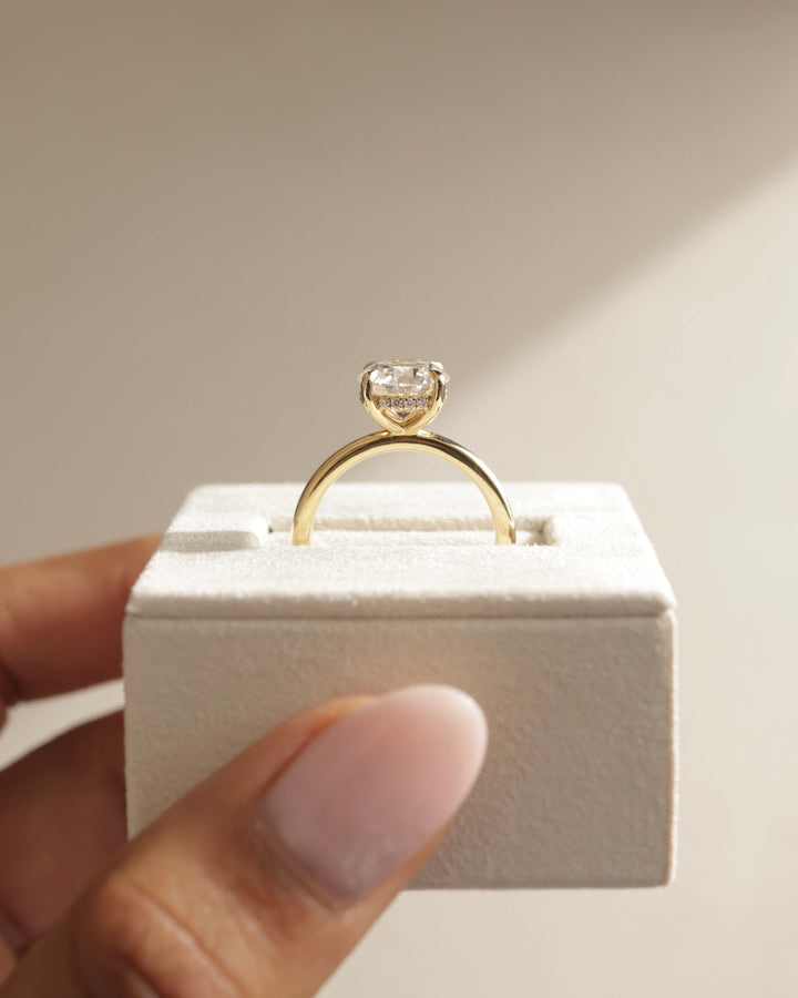 engagement hidden halo setting, prong hidden halo setting, claw prong hidden halo setting, micro pavé hidden halo setting, pavé hidden halo setting, basket hidden halo setting, elevated hidden halo setting